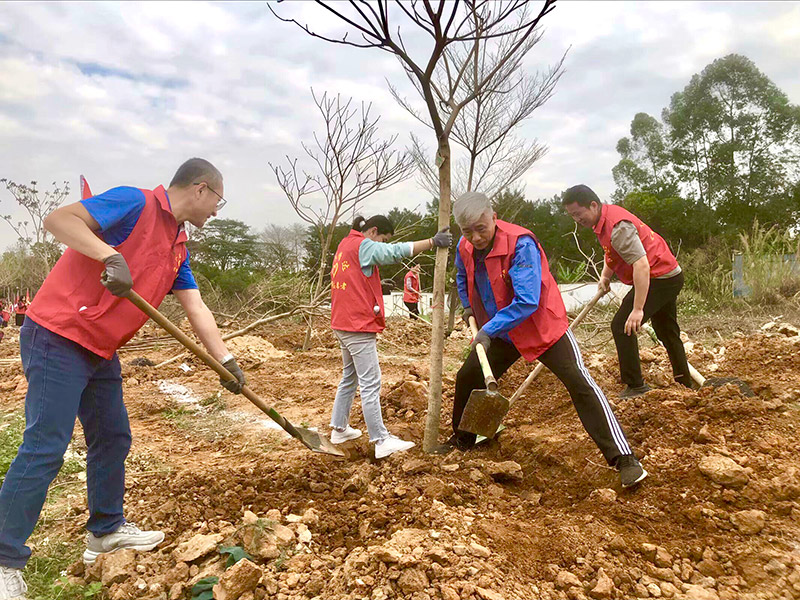 图片3.jpg 图片3.jpg